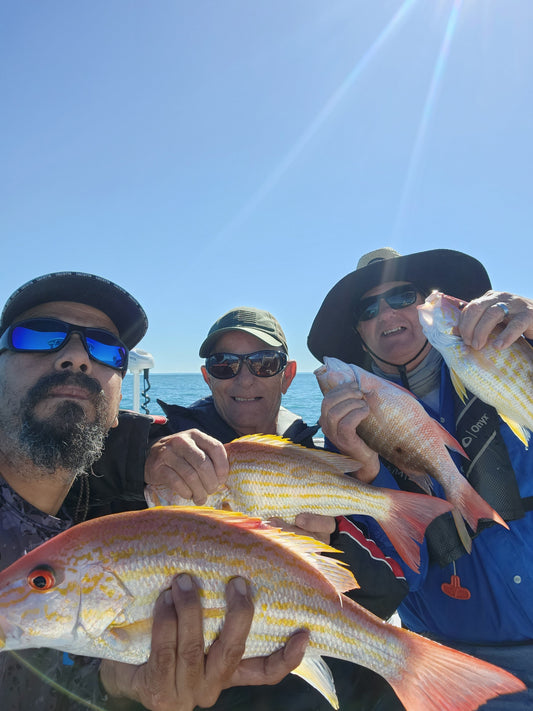 How Slow Pitch Jigging Saves You Time & Money Compared to Live Bait