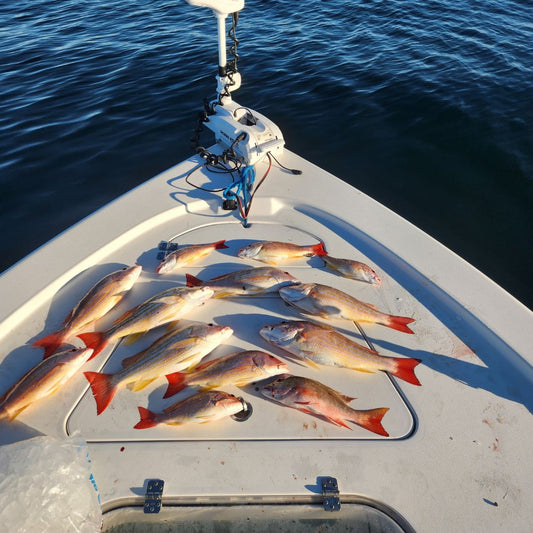 Slow Pitch Jigging Made Simple: Tips for Better Hookups